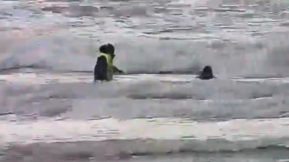 Ақтауда жасөспірім теңізге батпақ болған