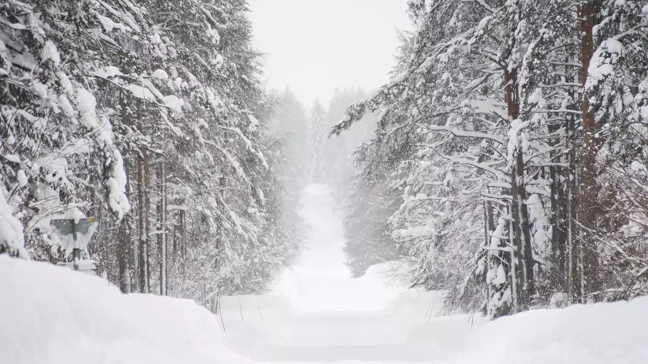 Еліміздің үш облысында көлік қозғалысы шектелді   
