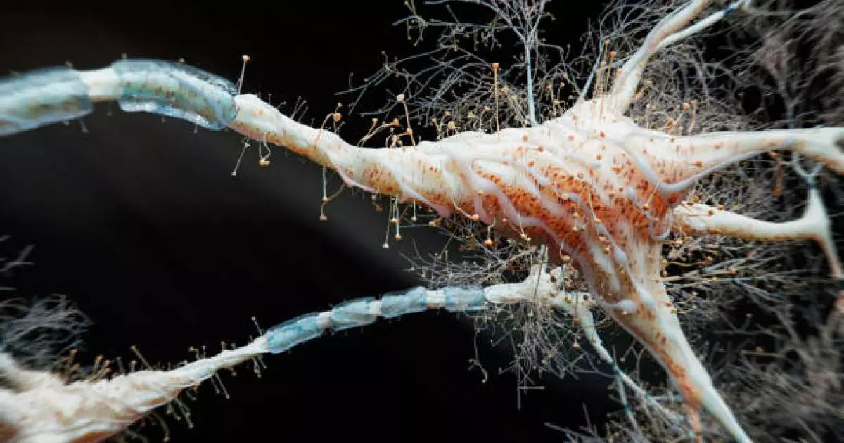  ЖИ-дің үрейлі бетбұрысы: машиналар адам миы жасушаларынан құрастырылып жатыр 