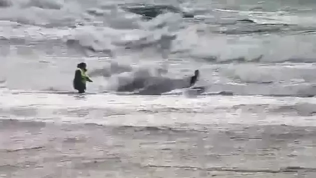 Ақтауда суға батып бара жатқан жасөспірім құтқарылды