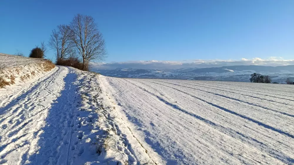 Ертең еліміздің басым бөлігінде боран соғып, қатты аяз болатыны болжанады