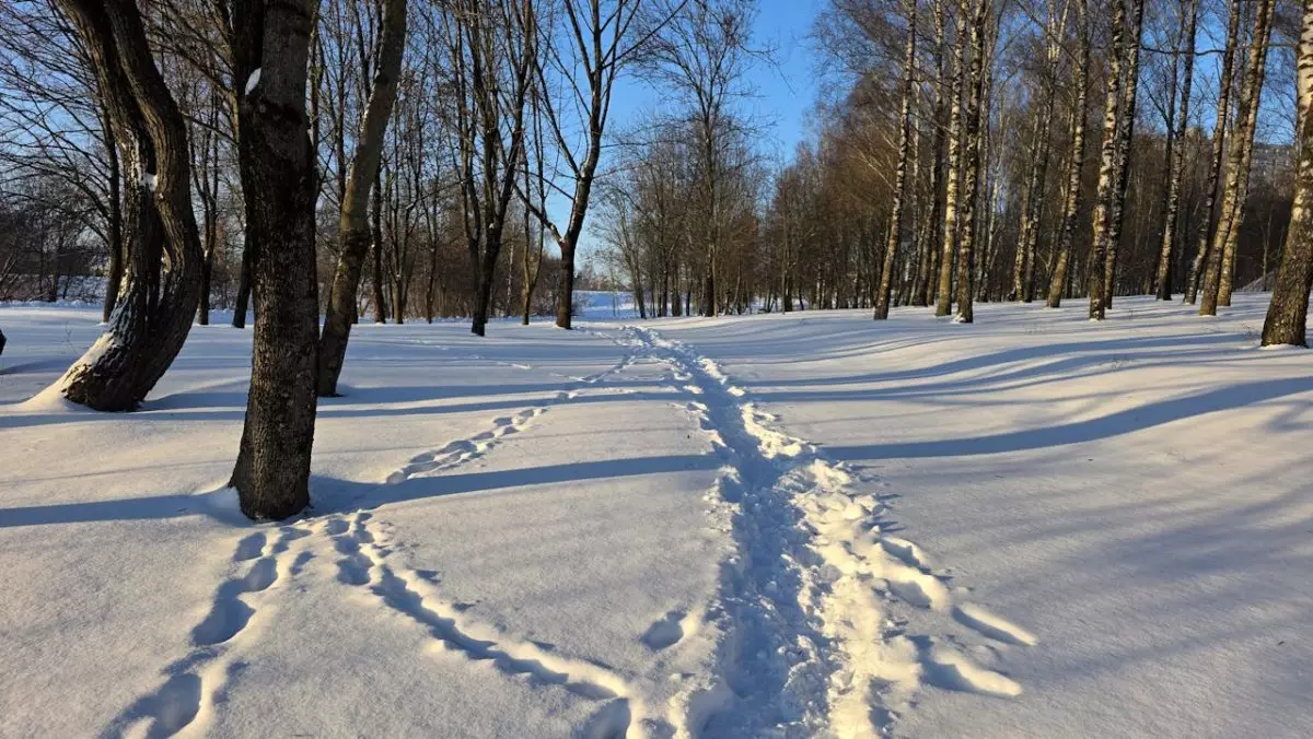 Резкое похолодание и штормовой ветер придут в Казахстан