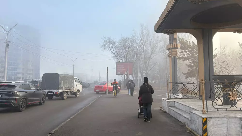 Густой туман окутал часть Алматы
