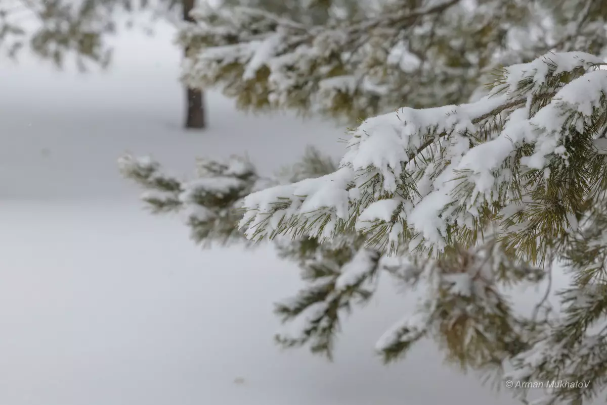 Две трассы в Казахстане остаются закрытыми из-за непогоды