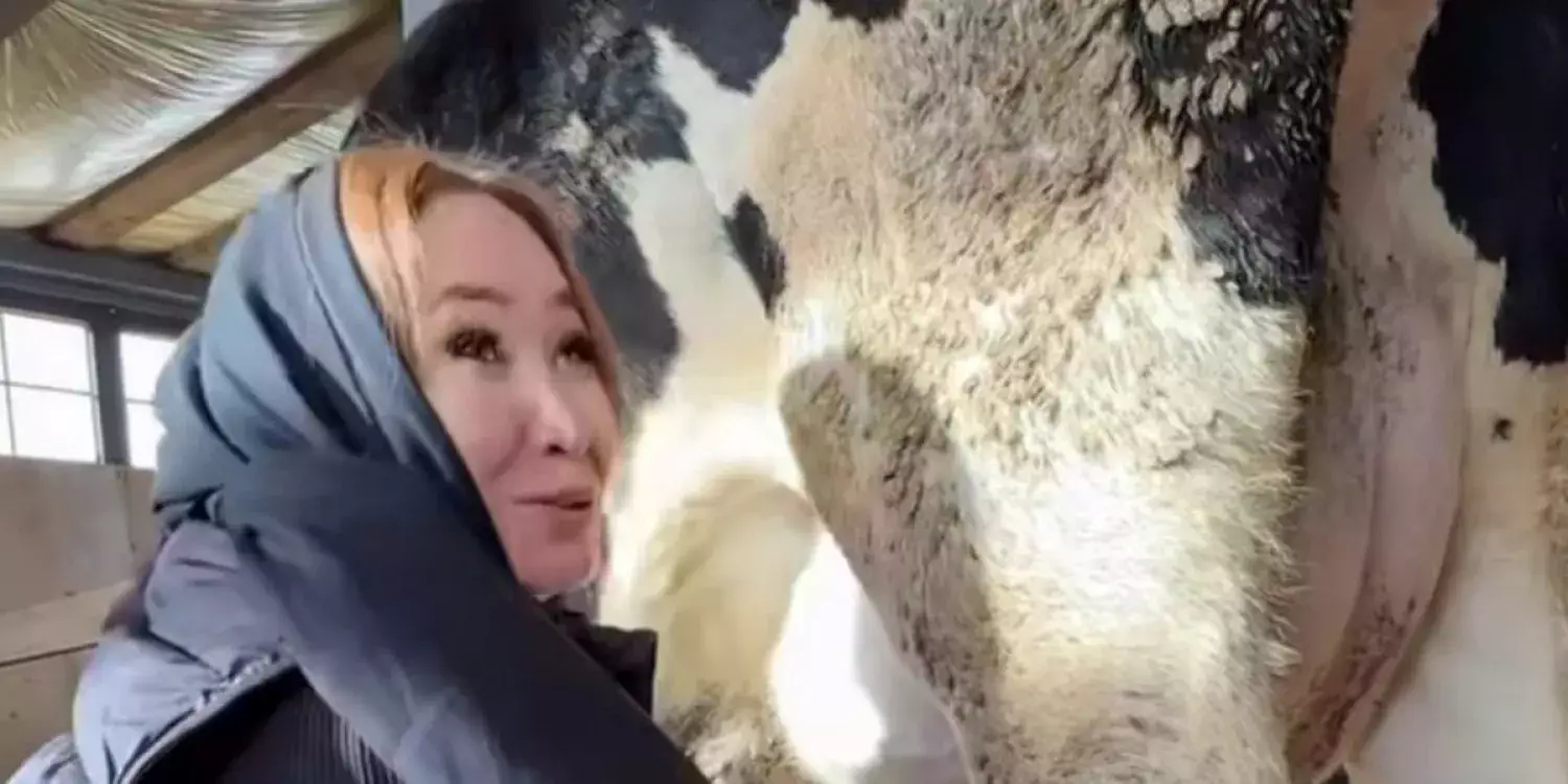 «Сиыр сауып рахаттандым»: депутат бар өнерін көрсетті