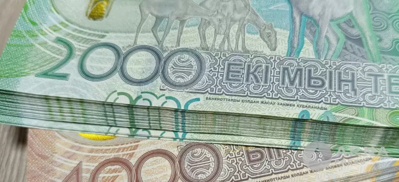 Правила по списанию пеней и штрафов разработали в Казахстане