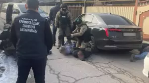 Алматы полицейлері жаңа жылдағы ұрлықтың бетін ашты