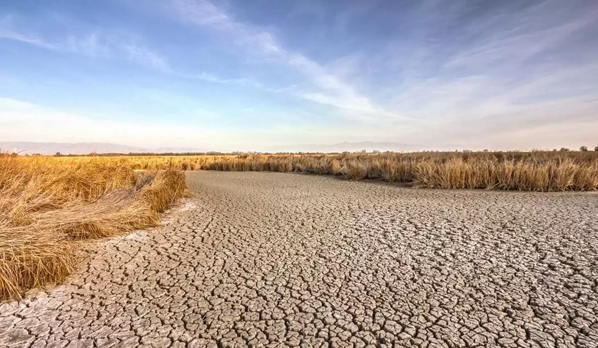 Каким регионам Казахстана может грозить засуха? Министр рассказал о сокращении притока воды