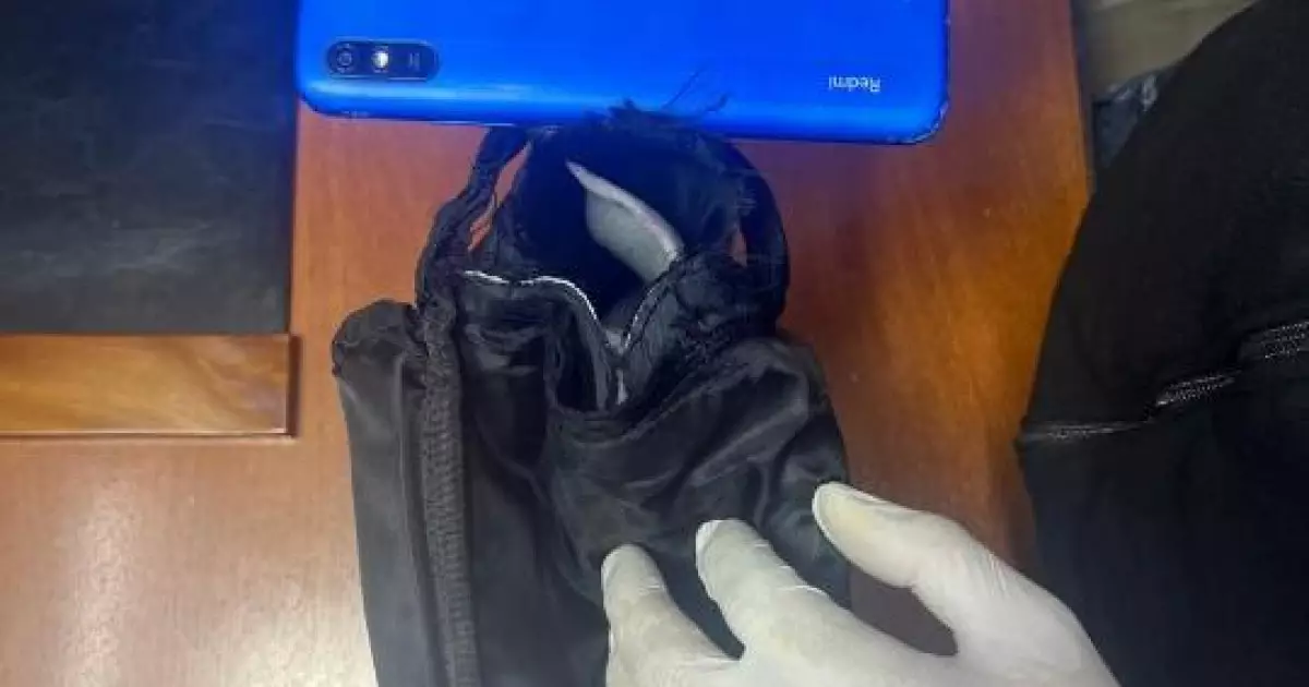   Қарт ана түрмеге жасырын түрде телефон өткізбек болған   