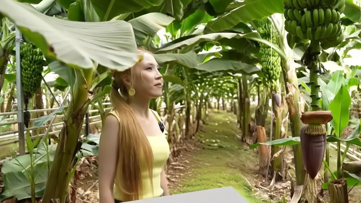 Бананы, оливки, фисташка: Какие ещё экзотические культуры выращивают в Казахстане