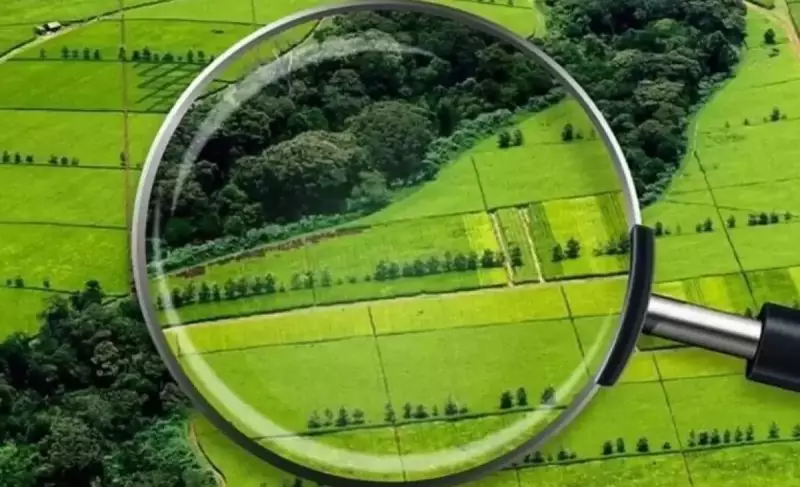 В Казахстане задумались над созданием нового Земельного кодекса