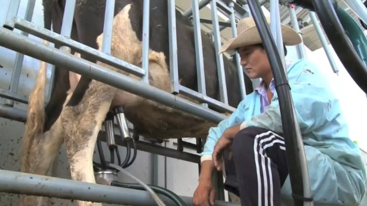 Фермерские кооперативы могут появиться в Казахстане