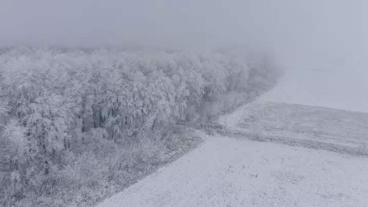 Көктайғақ, тұман, боран: 13 өңірде дауылды ескерту жарияланды