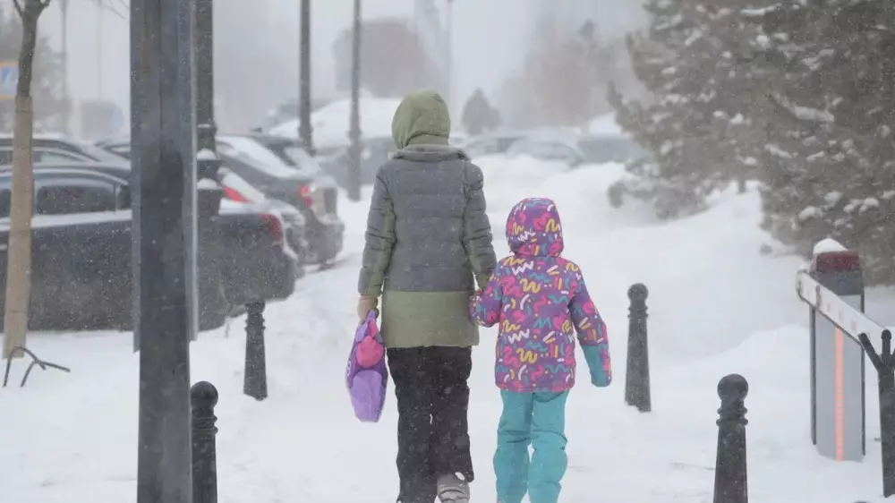 Погода в Казахстане в среду, 14 января: штормовые предупреждения