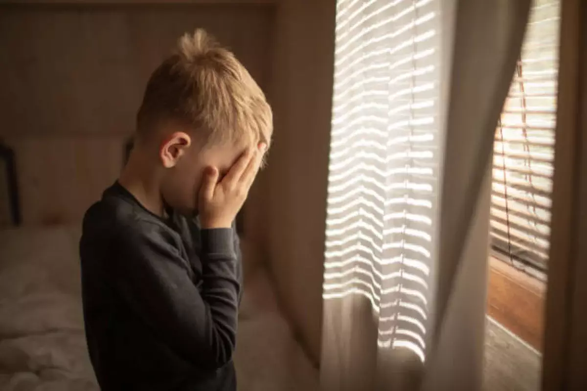 Павлодарда жасанды интеллект 13 жастағы балаға жасалған зорлықты әшкереледі