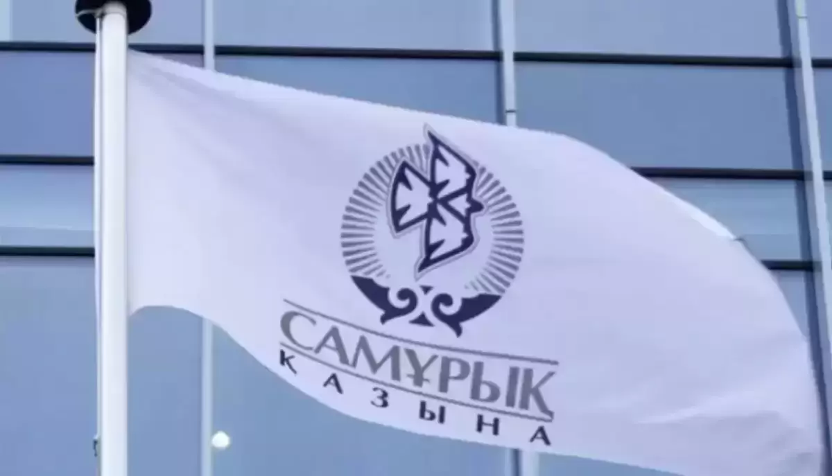 Депутат «Самұрықты» қысқартып, қалғанын жекешелендіруді ұсынды