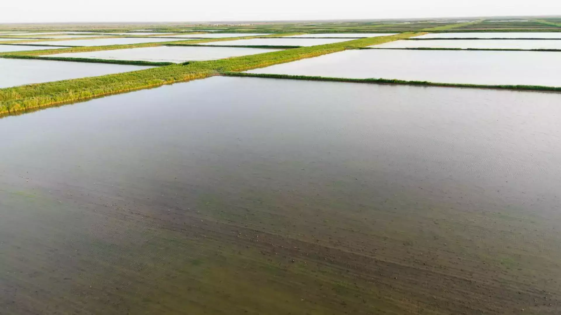 В Казахстане к ответственности привлечены 21 поставщик поливной воды.