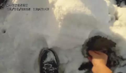 Тяжелые металлы в почве выявили на объекте «Казцинка» в ВКО