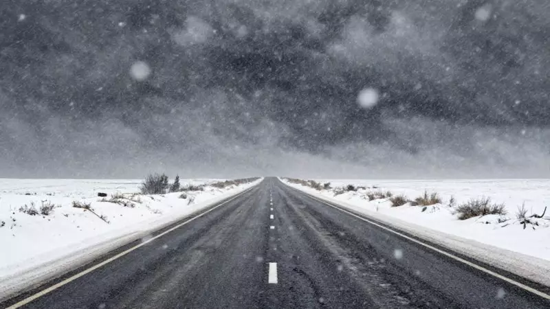 Иностранцы оказались заложниками непогоды в Казахстане