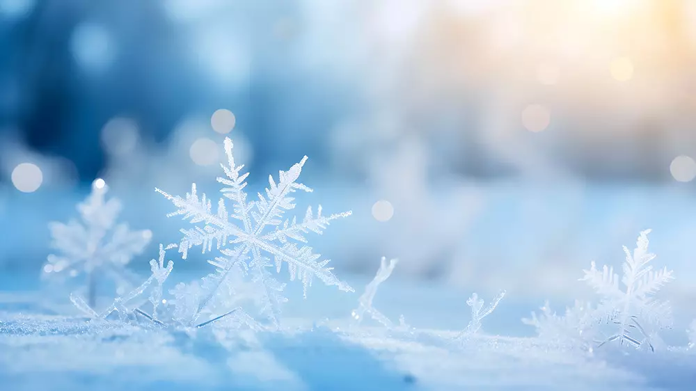 Зимний чек-лист: 15 дел, которые стоит успеть реализовать до весны