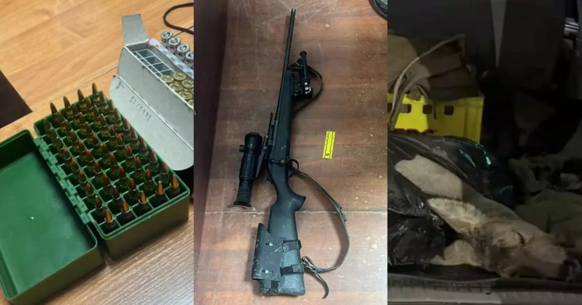  Елік пен түлкіні заңсыз атып алған Түркістан тұрғыны ұсталды 