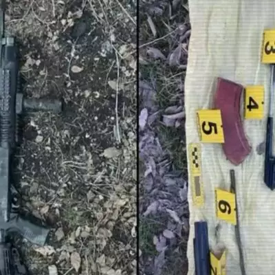 МВД обнаружило 340 единиц краденного оружия при январских событий