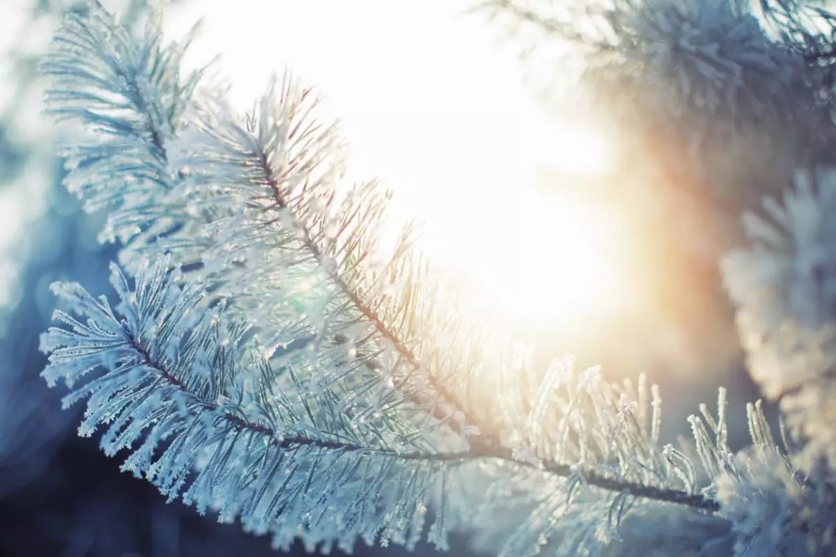 Рекордные морозы накроют Казахстан