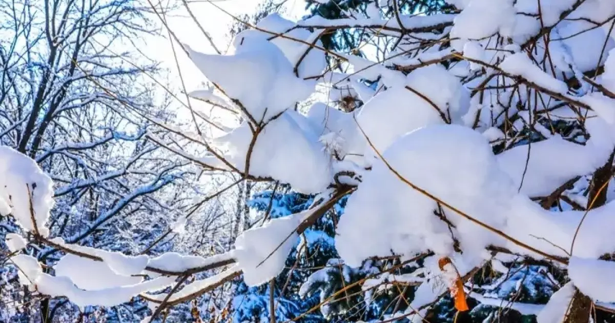  Алдағы күндері -40°С-қа дейін аяз болады 