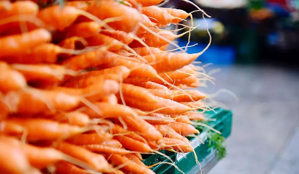 «Даже за 80 тг тяжело продать»: депутат поднял вопрос запрета на экспорт моркови