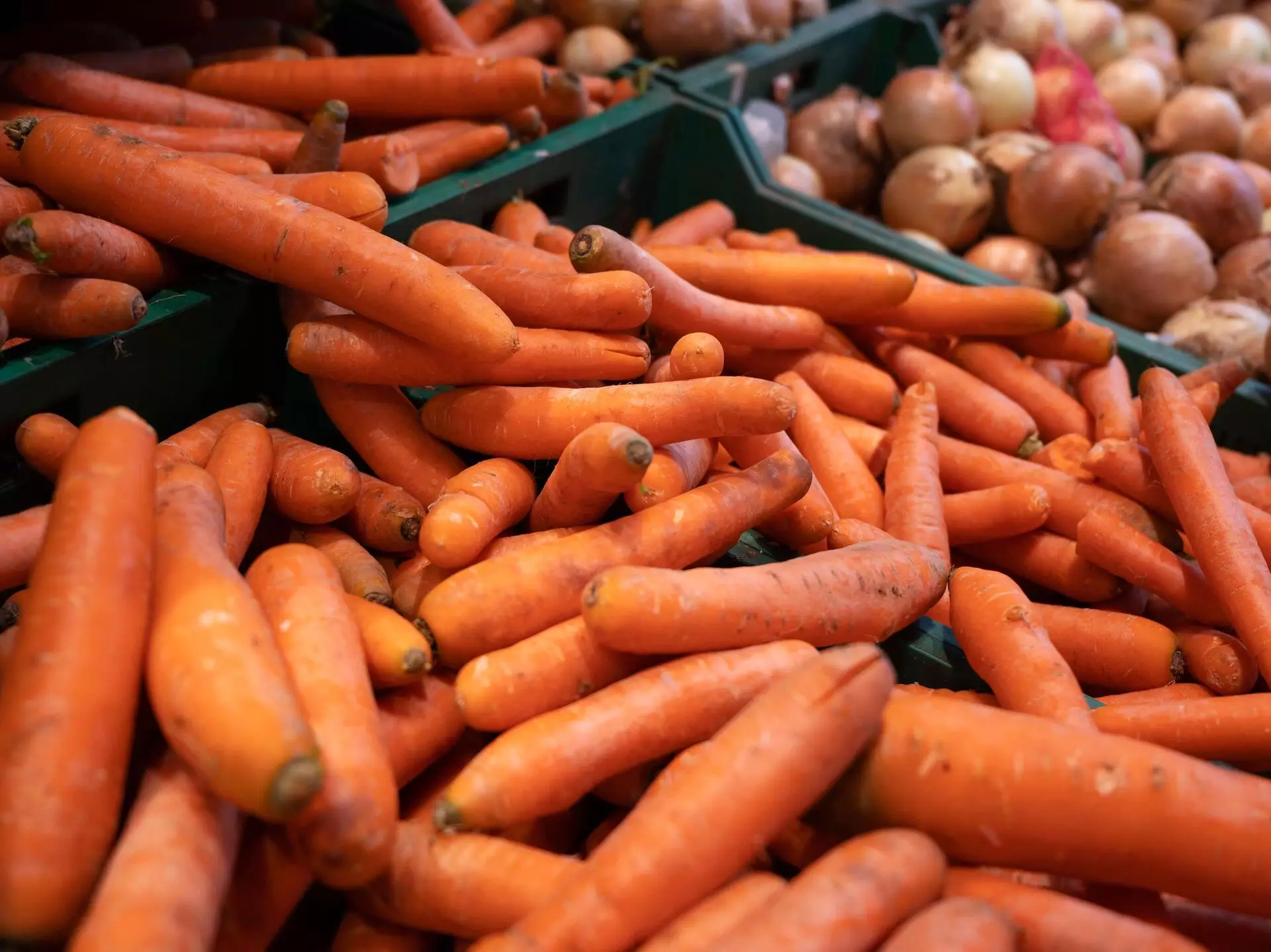 Темир Кырыкбаев: «Ограничение экспорта сельскохозяйственной продукции неэффективно»