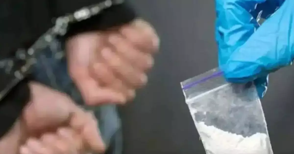  Есірткіні заңсыз сақтаған Қордай тұрғындарына үкім шықты 