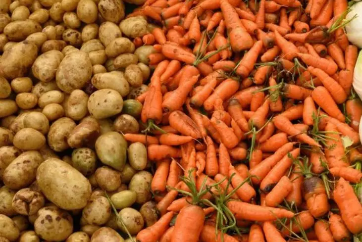 Зачем запрещать экспорт, если склады полны? Мажилисмен раскритиковал позицию властей