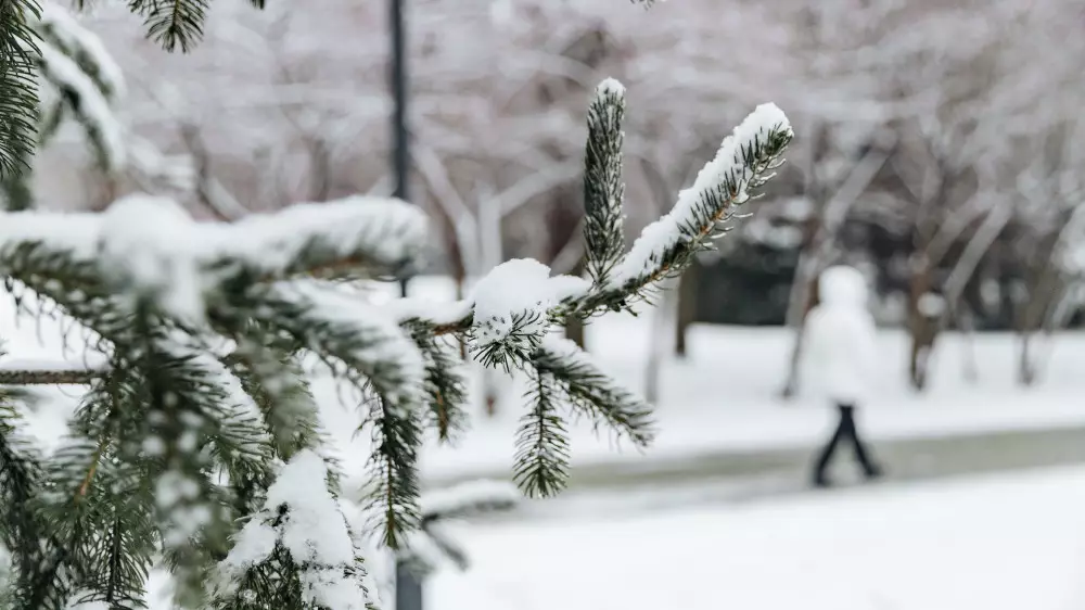 Астана мен Алматыда аяз болады