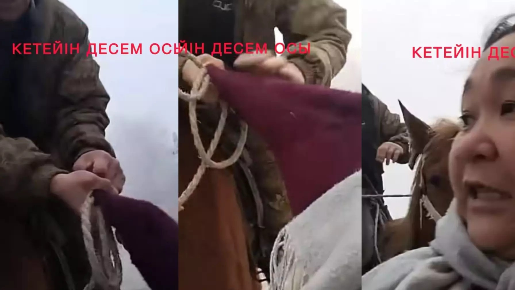 “Боқтайды. Маза бермейді. Атпен жетіп алды” - Күйеуінен қорлық көрген әйел араша сұрады (ВИДЕО)