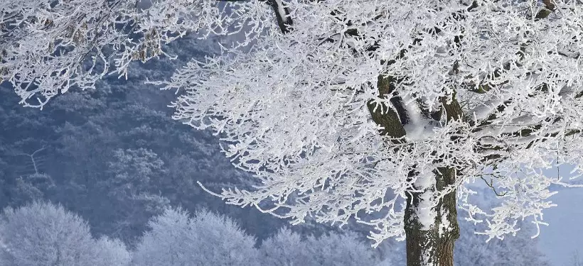 40-градусные морозы придут в Казахстан в ближайшие дни