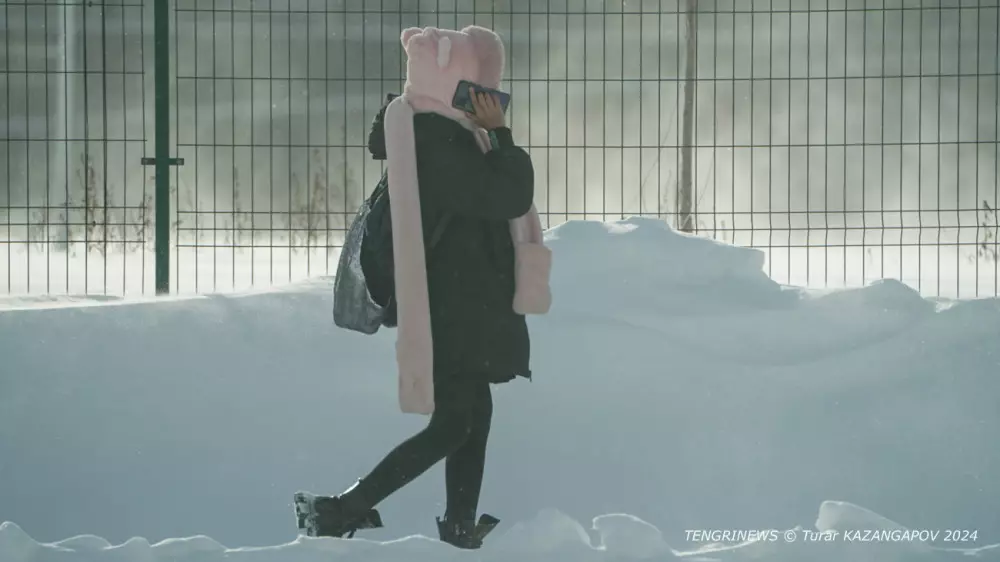 Часть школьников в Астане 15 января перейдёт на удалёнку