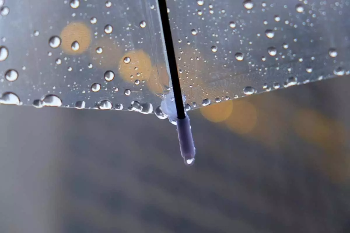 Январь удивляет: Шымкент зальют дожди