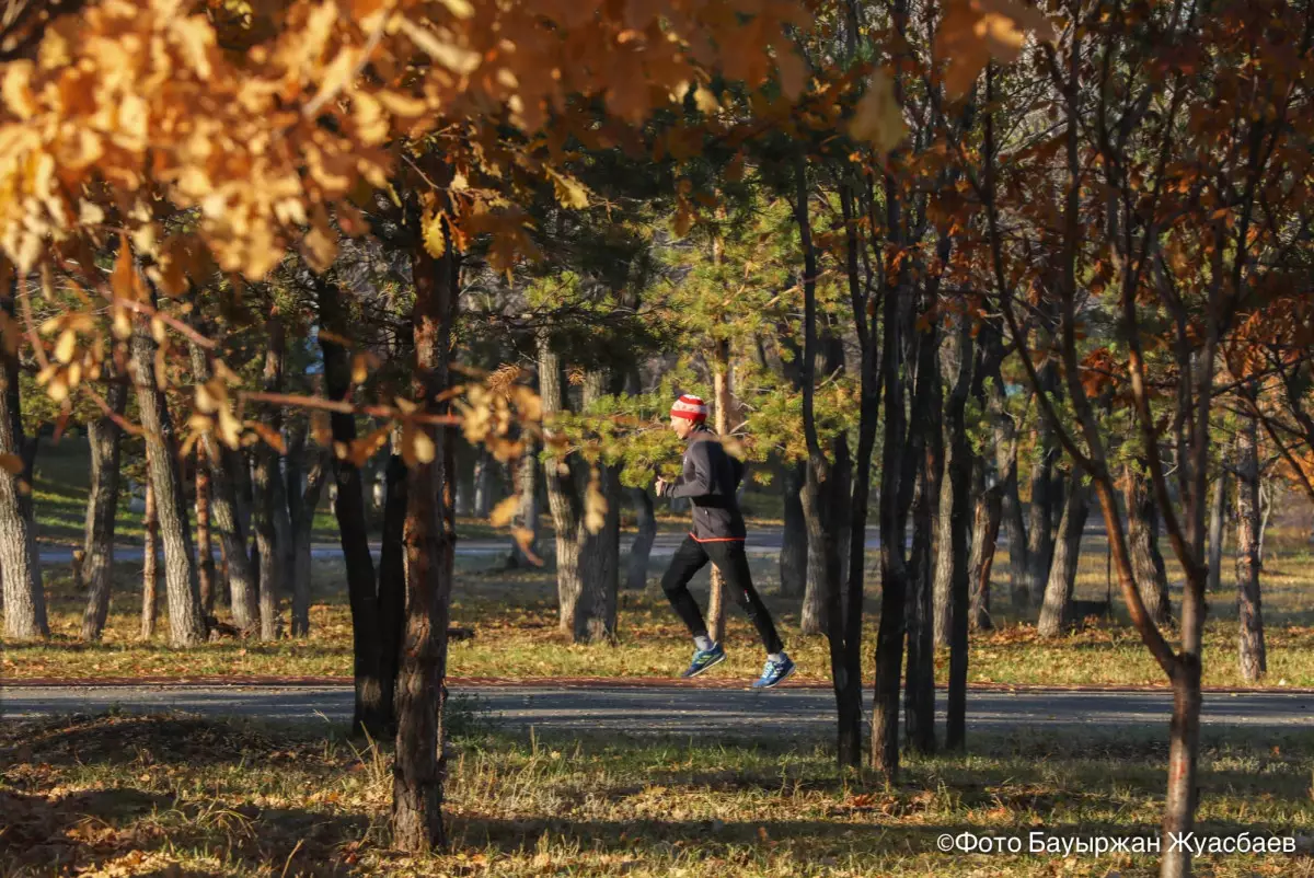35,7% казахстанцев - приверженцы ЗОЖ
