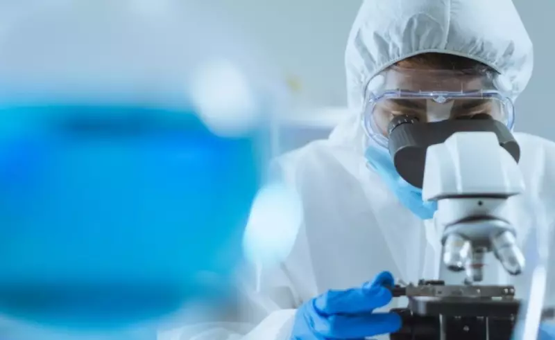 Новый подход к лечению рака назвали ученые