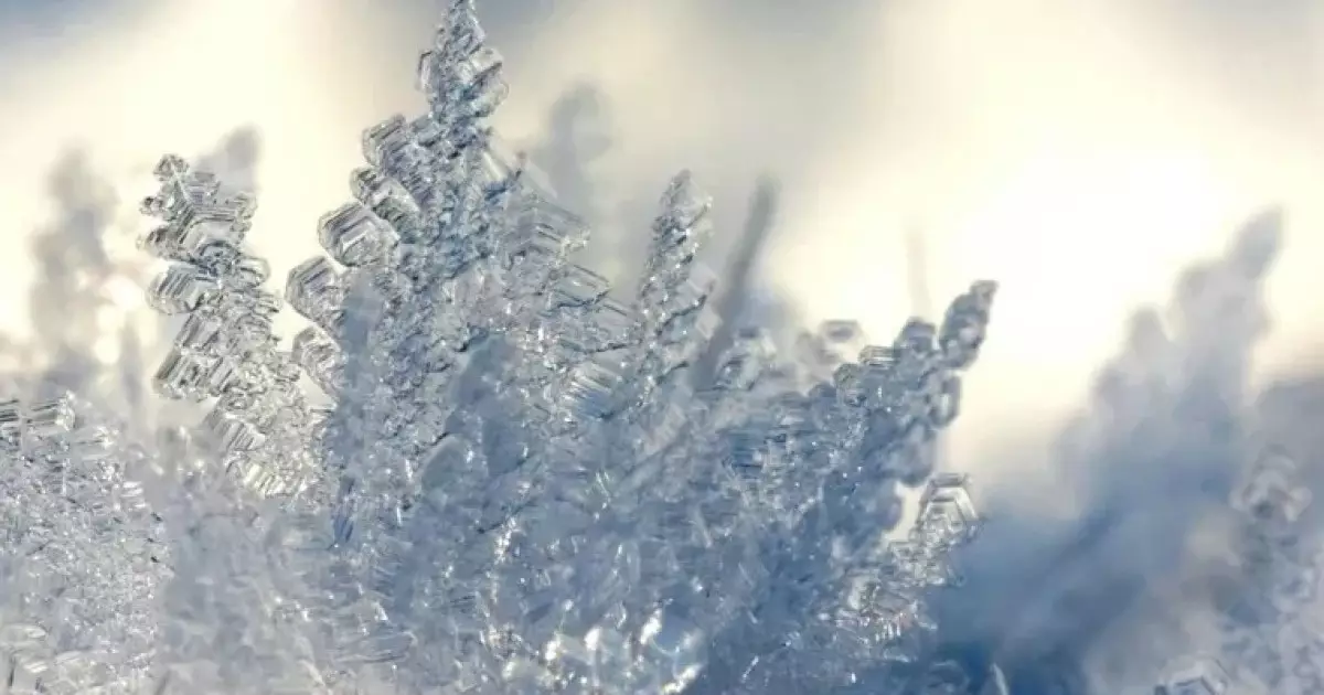  `40 градус аяз`. 15 қаңтарға арналған ауа райы болжамы жарияланды 