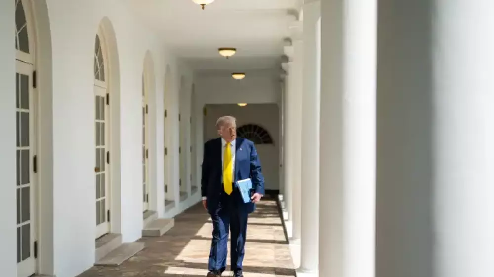 “Убийства сократились“: Трамп передумал немедленно нападать на Иран