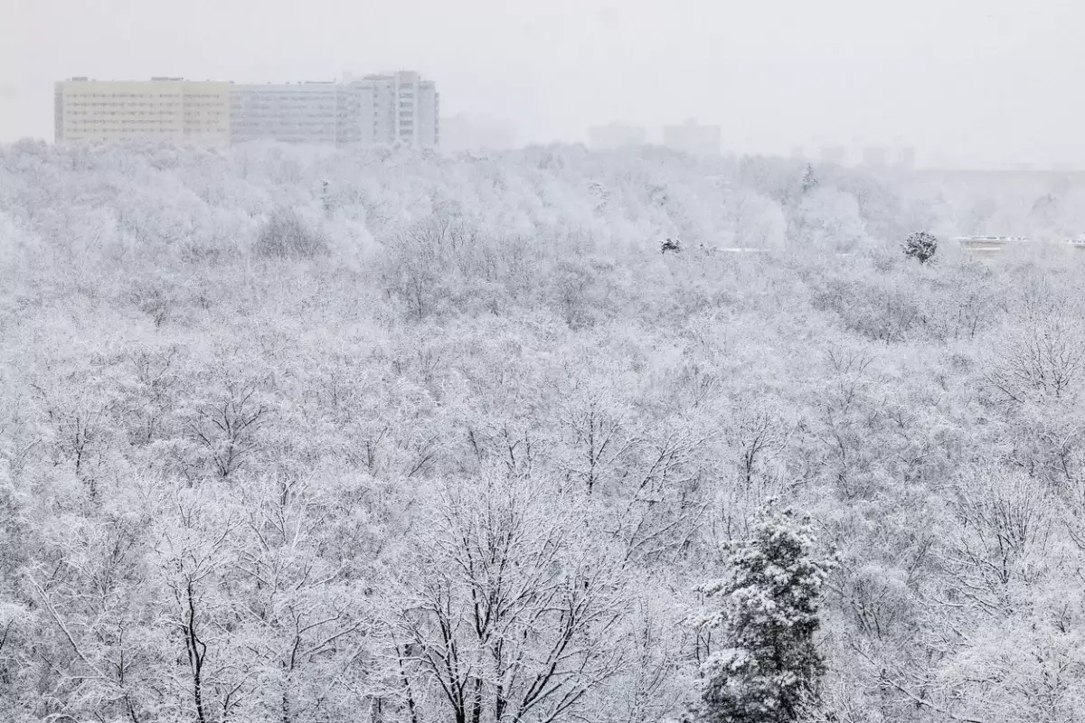 Прогноз погоды на 15 января по регионам Казахстана