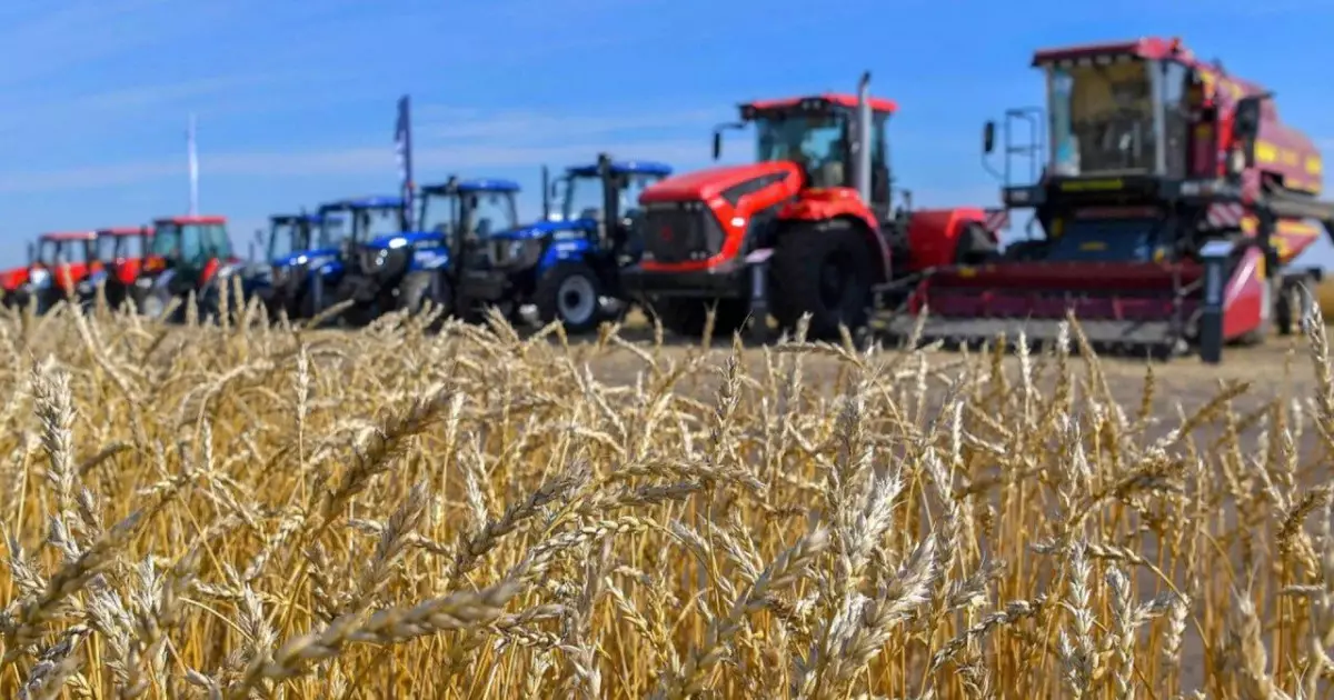   «ҚазАгроҚаржы» заманауи астық кептіру технологияларын сатып алуды қаржыландырады   