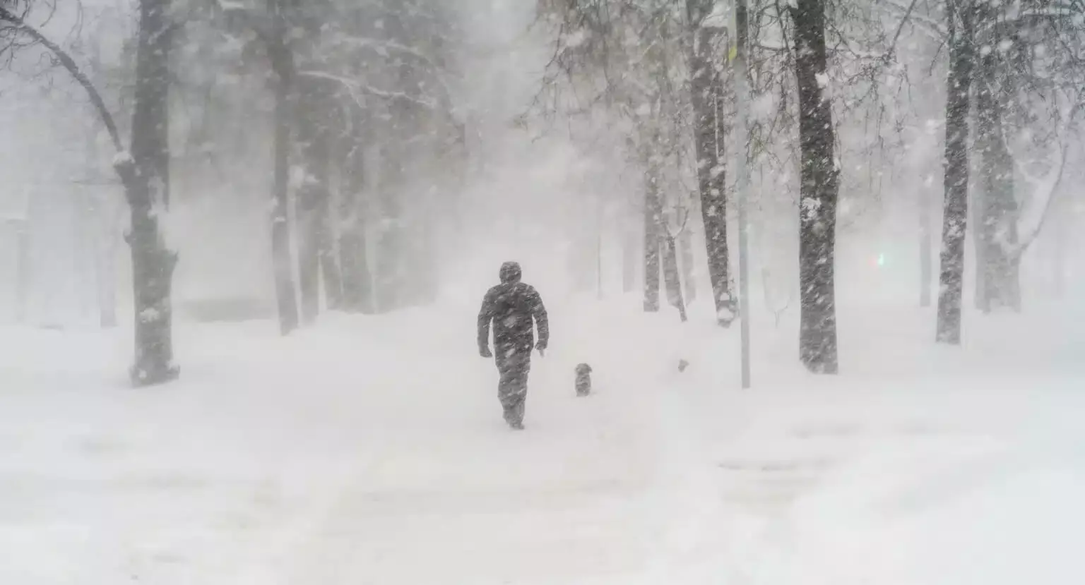 Аяз бен жаңбыр: 15 қаңтарға ауа райы болжамы