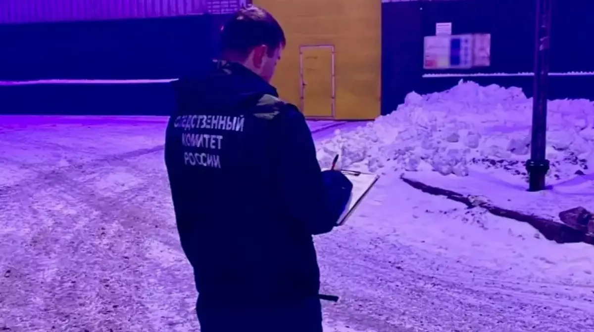Двух казахстанцев нашли мертвыми на металлургическом комбинате в Череповце