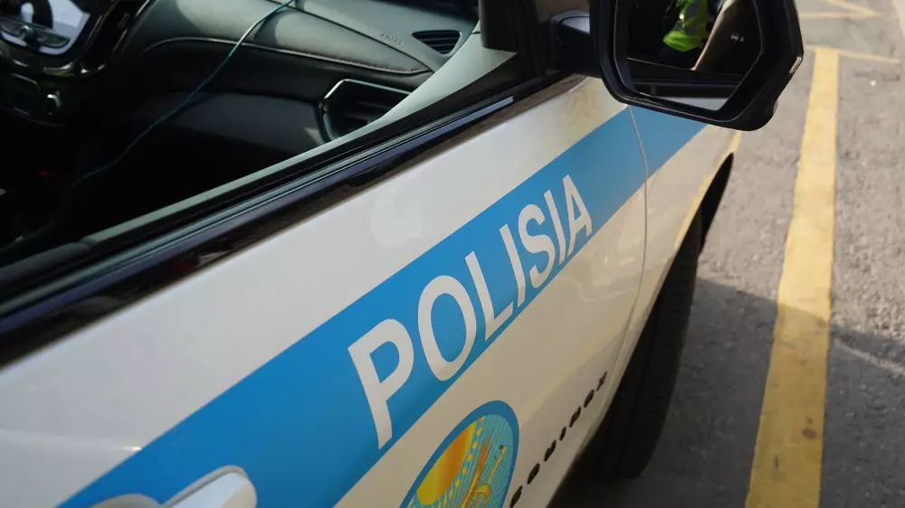 "Патрулька" мастерски ушла от лобового столкновения с Toyota Alphard в ВКО: видео