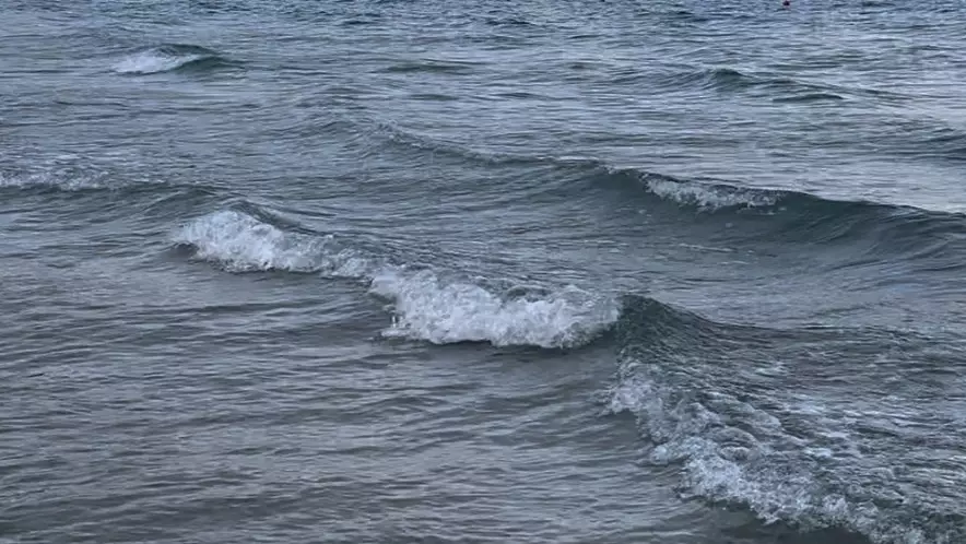 Аральское море оживает после десятилетий упадка