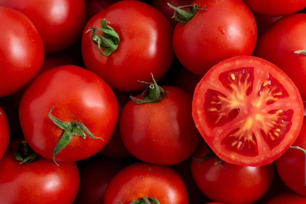 Заражённые семена томатов из Кореи выявили при контроле в аэропорту Астаны