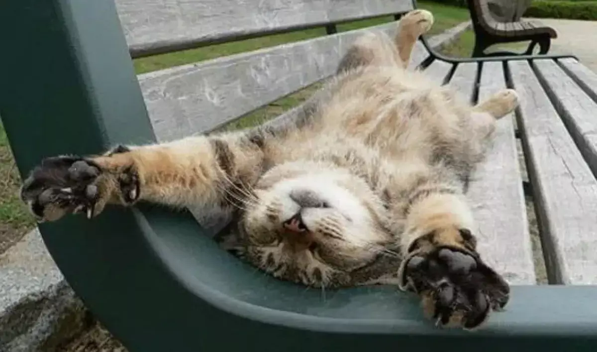 Сколько на самом деле нужно отдыхать каждый день - новости на Lada.kz 15.01.2026