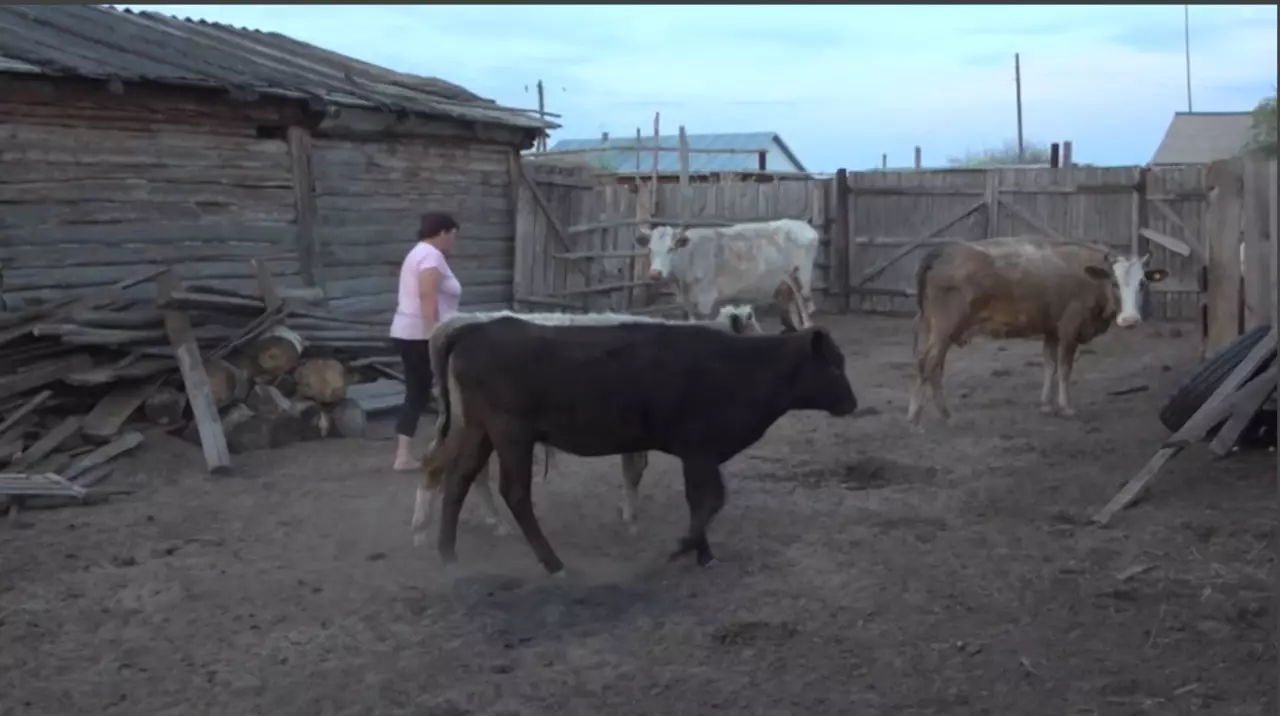 Жеке қосалқы шаруашылықтар қолдауды қажет етеді